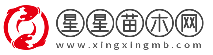 HTX交易所
